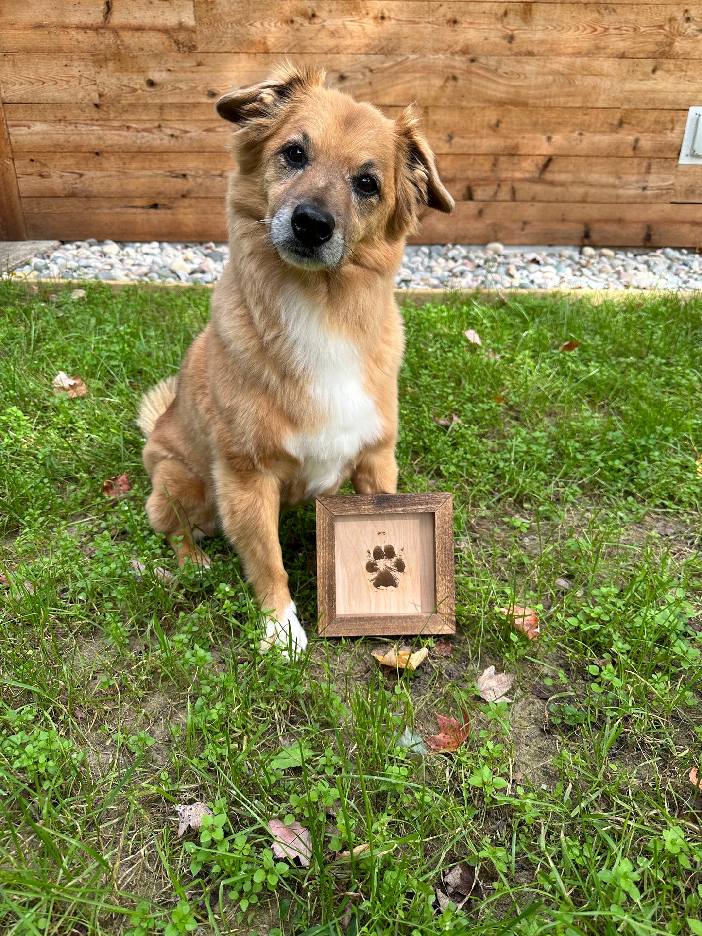 Paw - Hand - Foot Print Engrave Sign