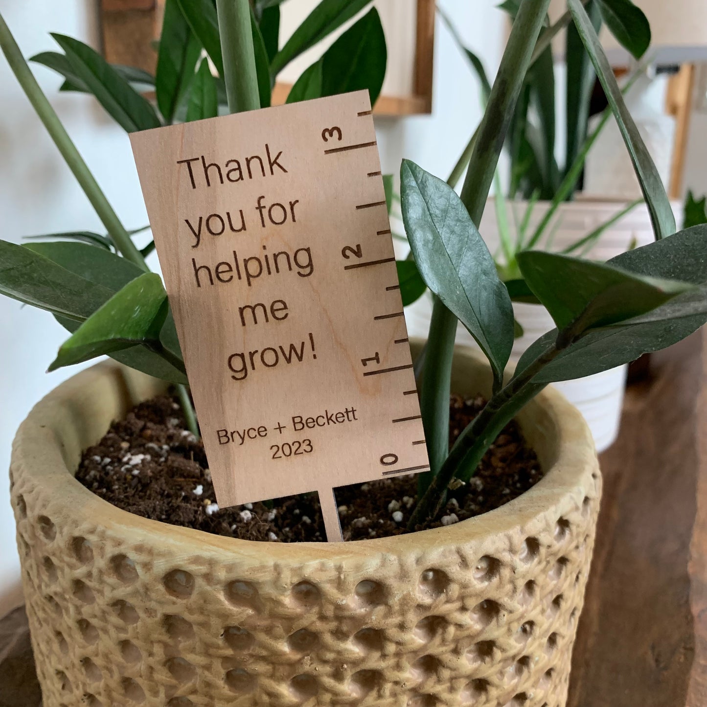 Thank You For Helping Me Grow Plant Stakes