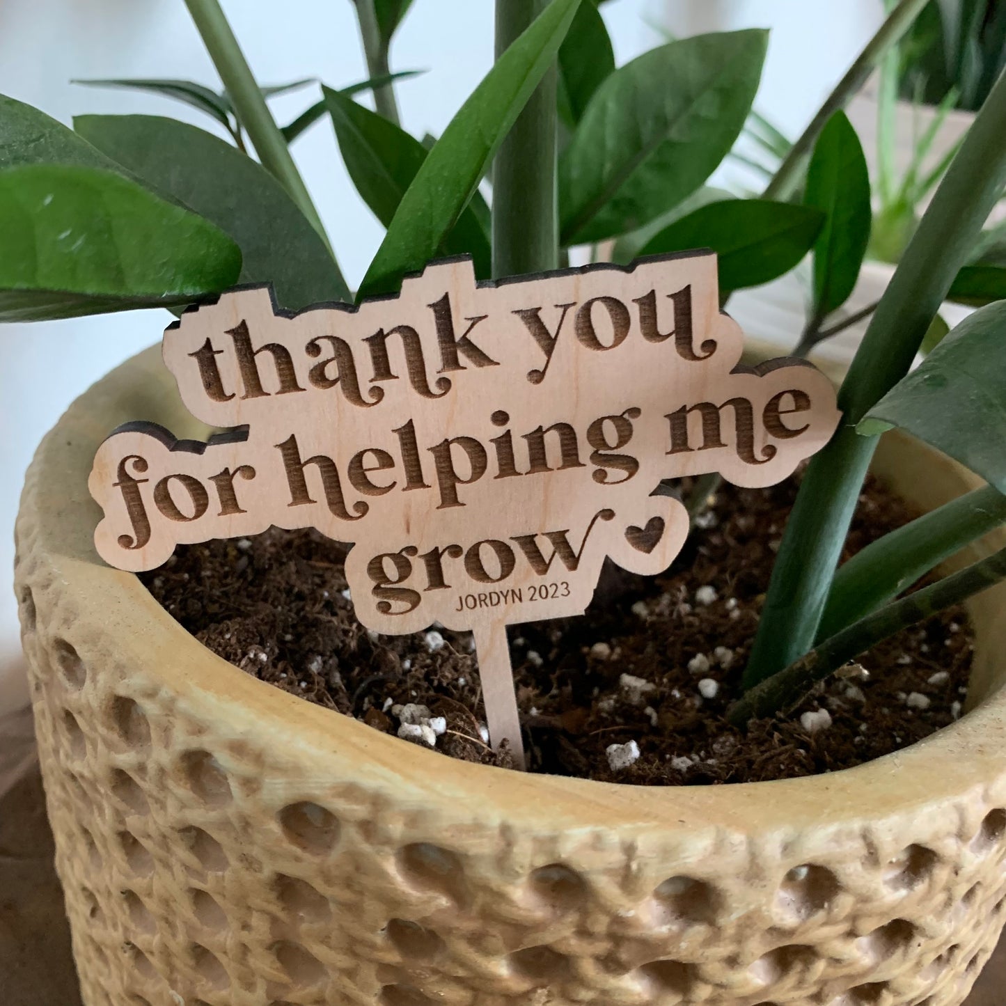 Thank You For Helping Me Grow Plant Stakes